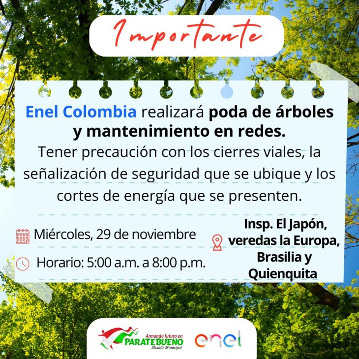 Mantenimiento de Redes y Poda de Árboles por ENEL Colombia: Una Noticia Importante para la Comunidad